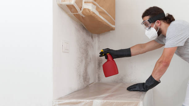 Professional Mold Inspection And Testing technician working in Highland Park, MI