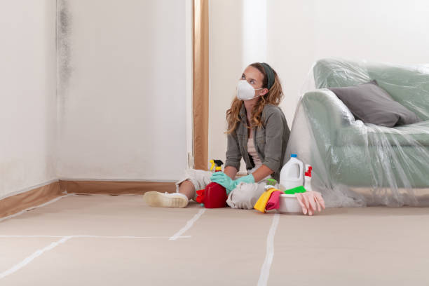 Reliable Mold Inspection And Testing contractor in Highland Park, MI by Mold Remediation HQ